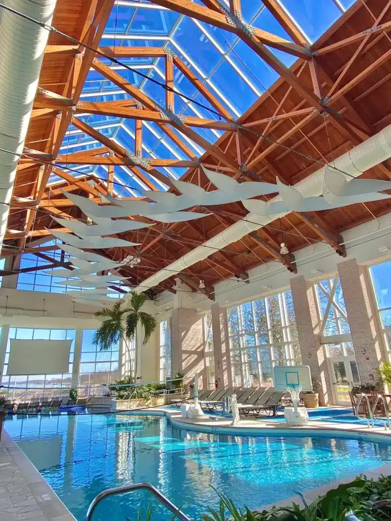 Indoor pool with atrium