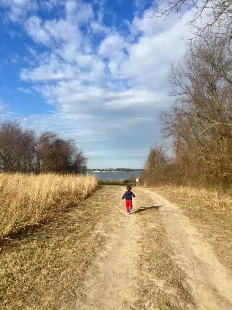 The trail to Spriggs Farm