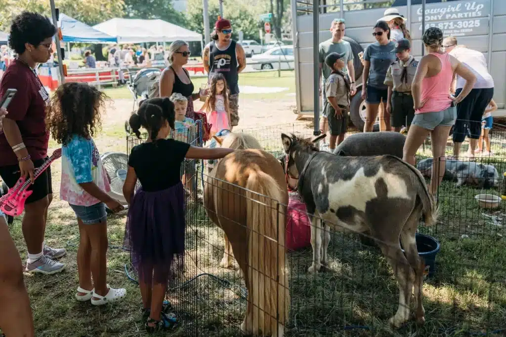 Petting zoo with ponies