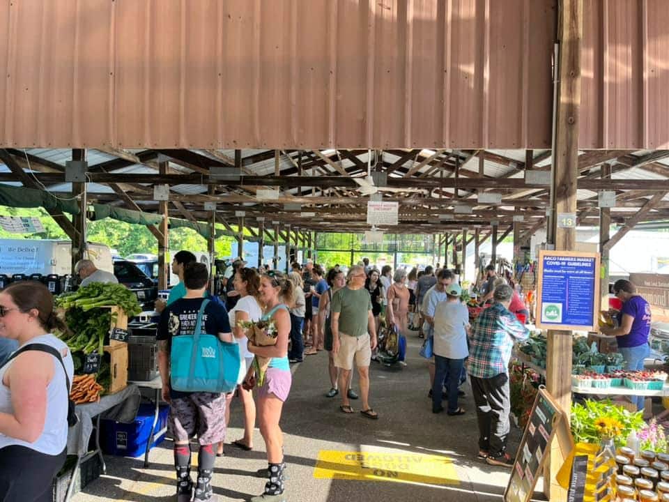 Shot of Anne Arundel County Farmer's Market