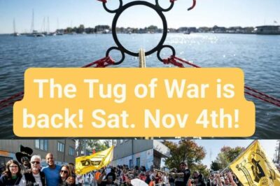 Eastport vs Annapolis Tug of War