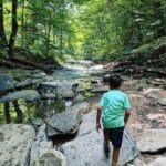 young boy explores a stream in Double Rock Park