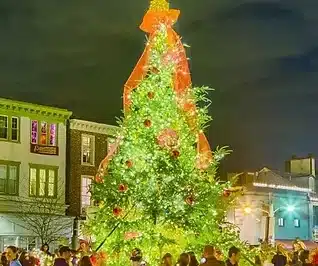 Illuminated Christmas Tree