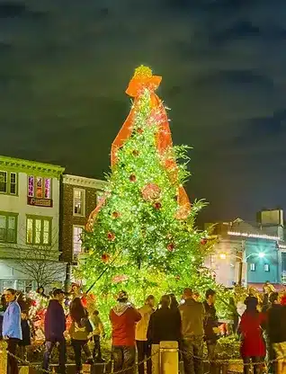 Illuminated Christmas Tree