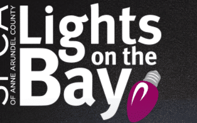 Lights on the Bay