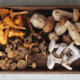Mushroom tray