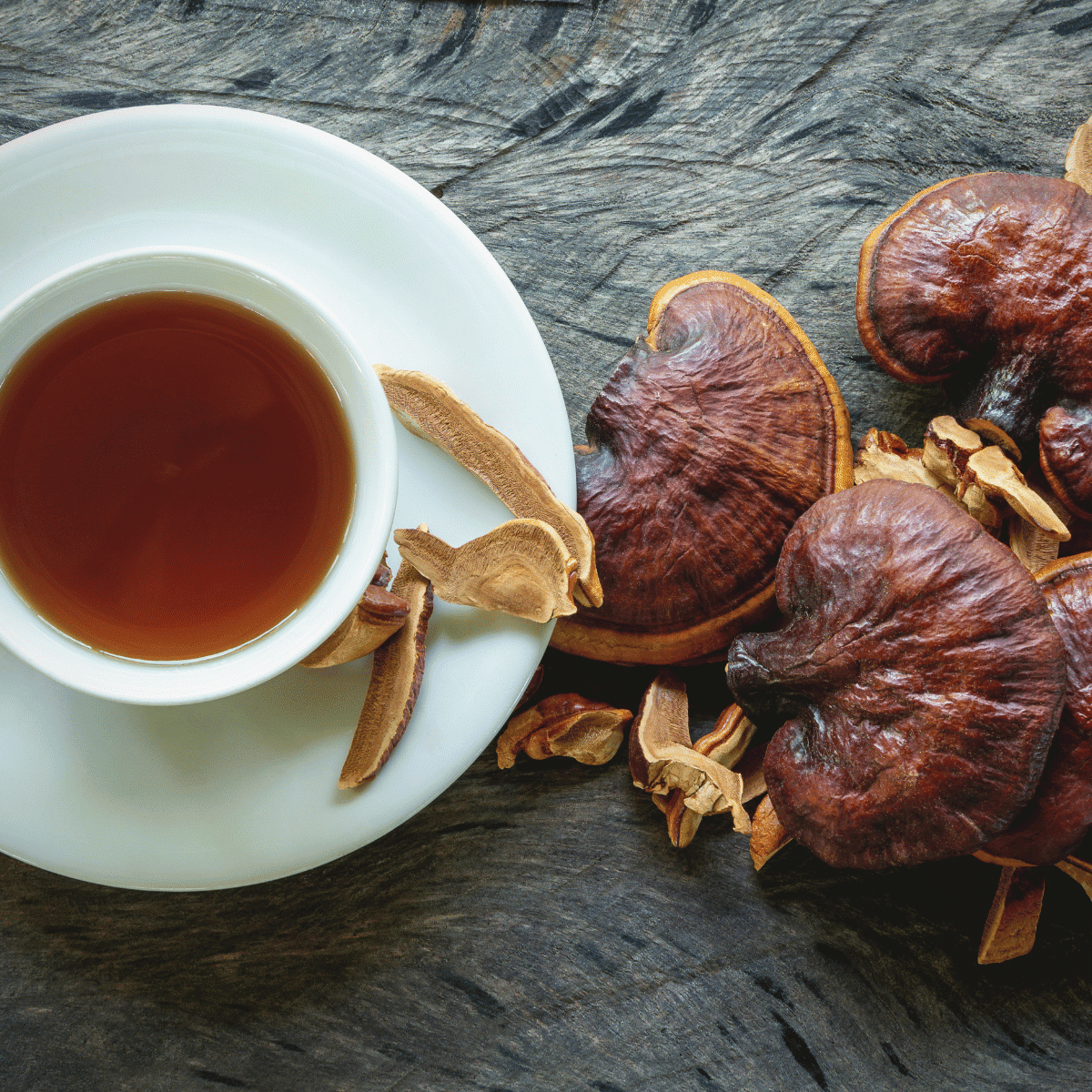 Reishi tea