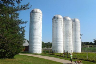 Kinder Farm Park