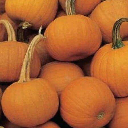 Pumpkins