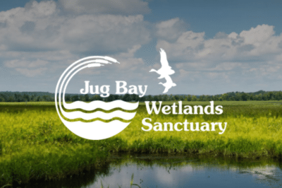 Jug Bay Wetlands