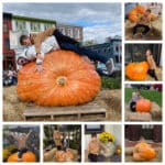 Dad and son laying on giant pumpkin