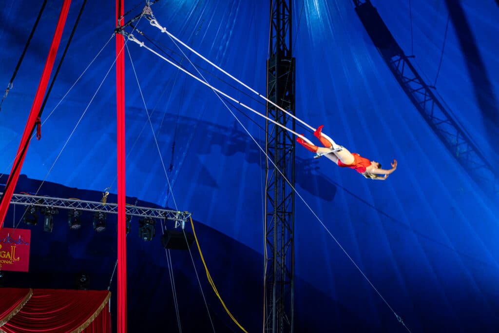 trapeze swing