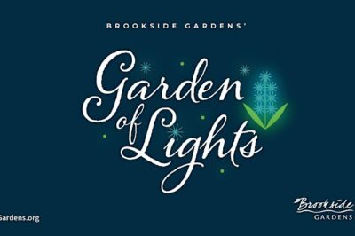 Garden of Lights