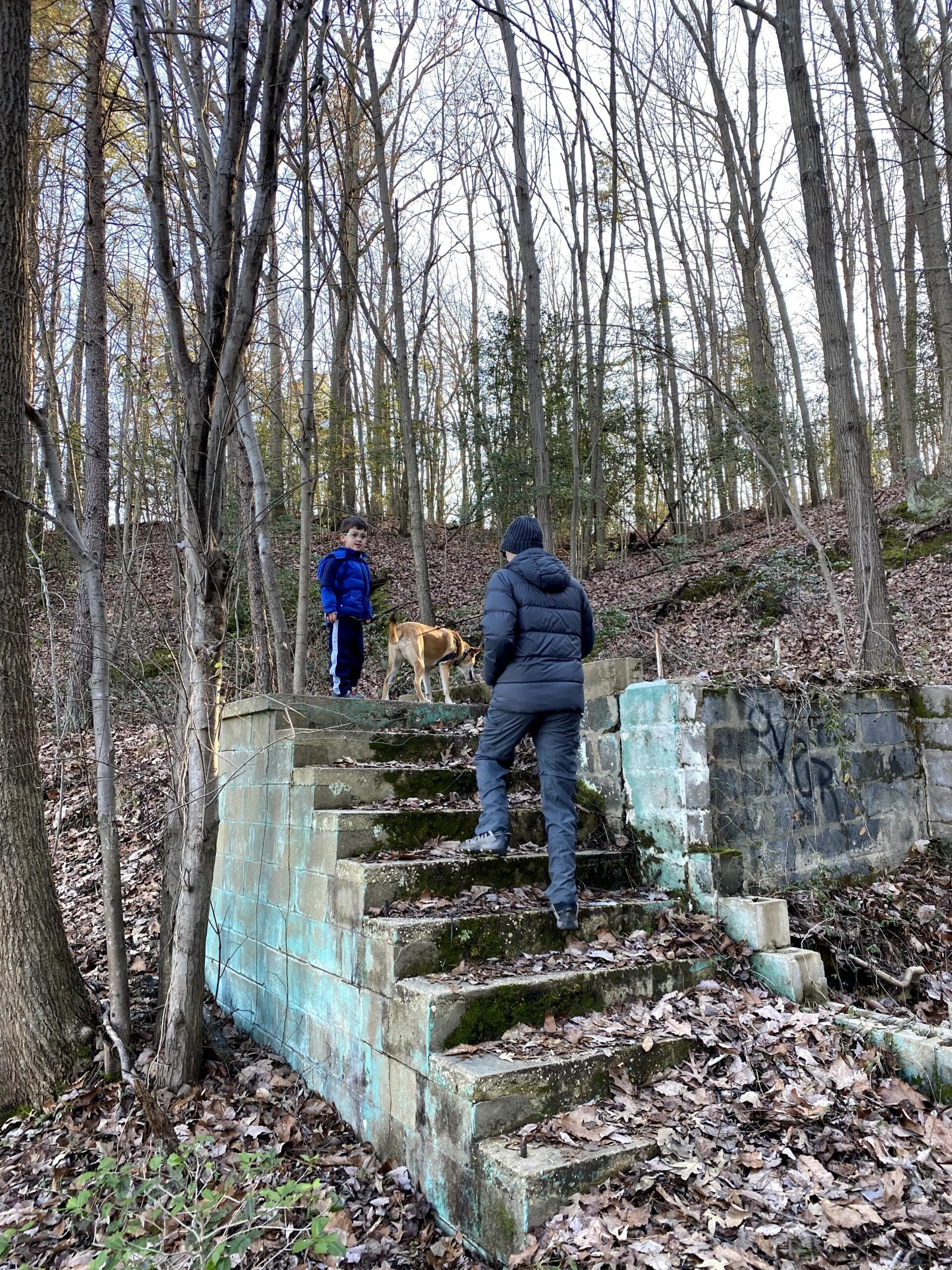 hiking on new years day