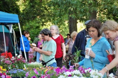 Cape annual plant sale