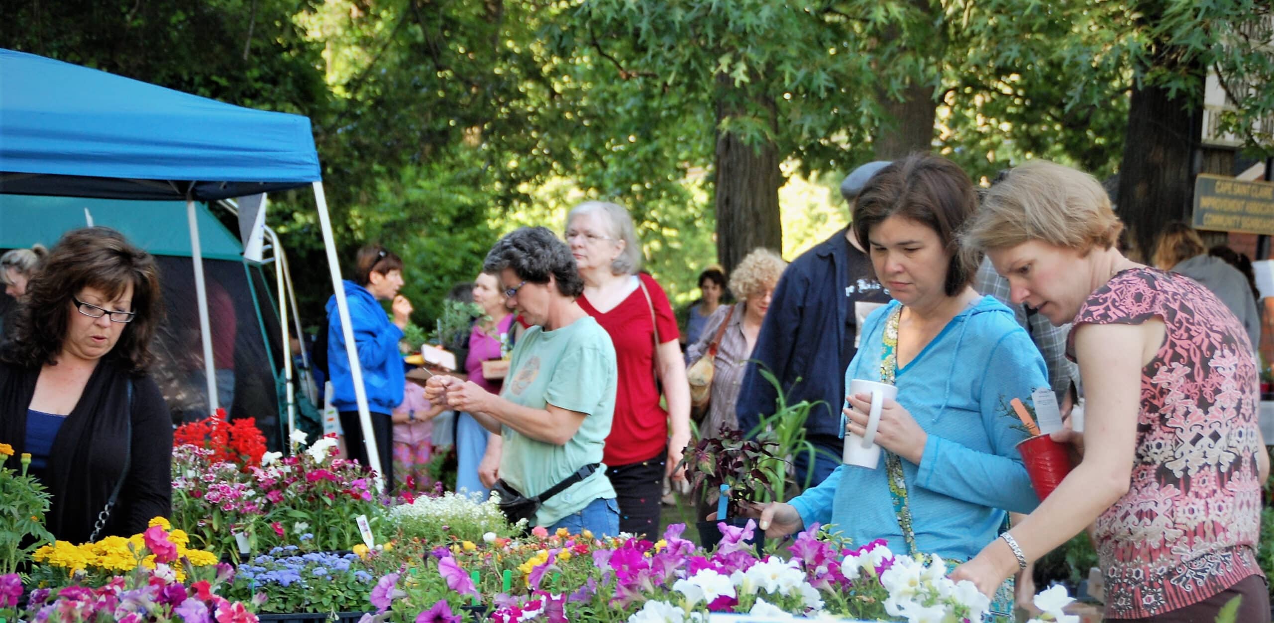 Cape annual plant sale