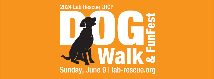 LRCP Lab Rescue Dog Walk 2024