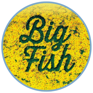 Big Fish logo