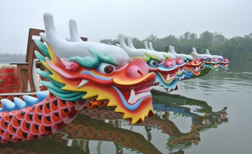 Dragon boats floating in a row