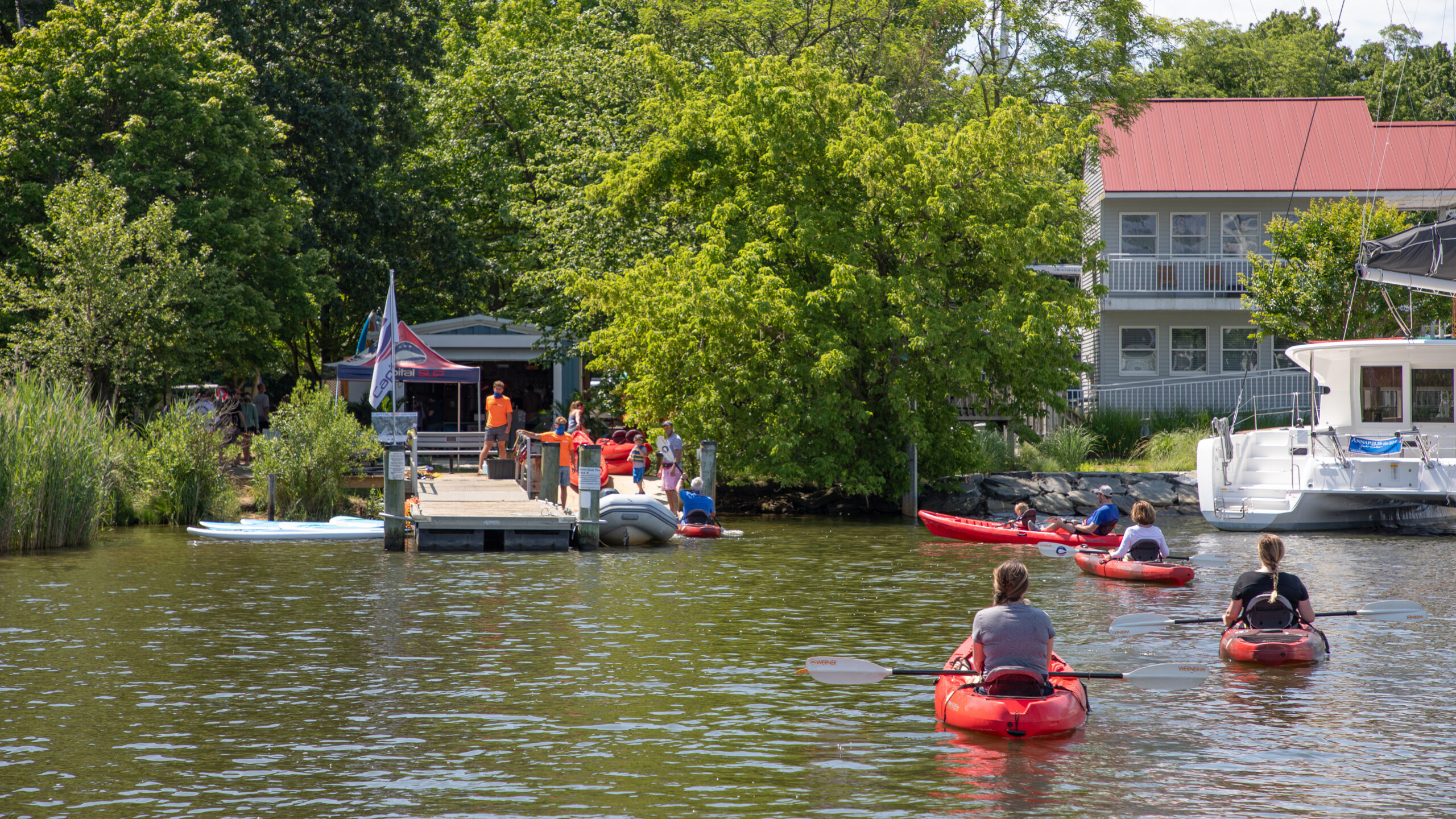 Eco-tours on Harness Creek at Quiet Waters Park