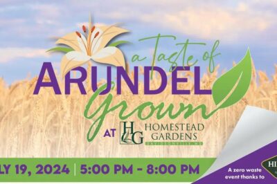 A flyer for A Taste of Arundel Grown 2024