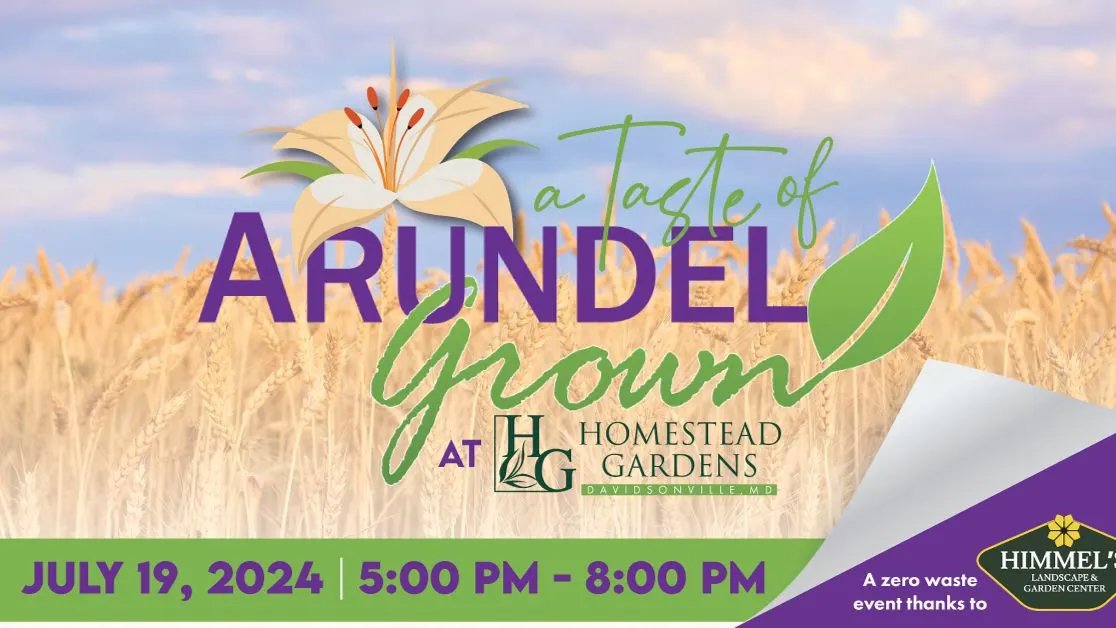 A flyer for A Taste of Arundel Grown 2024