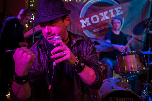 The Moxie Blues Band