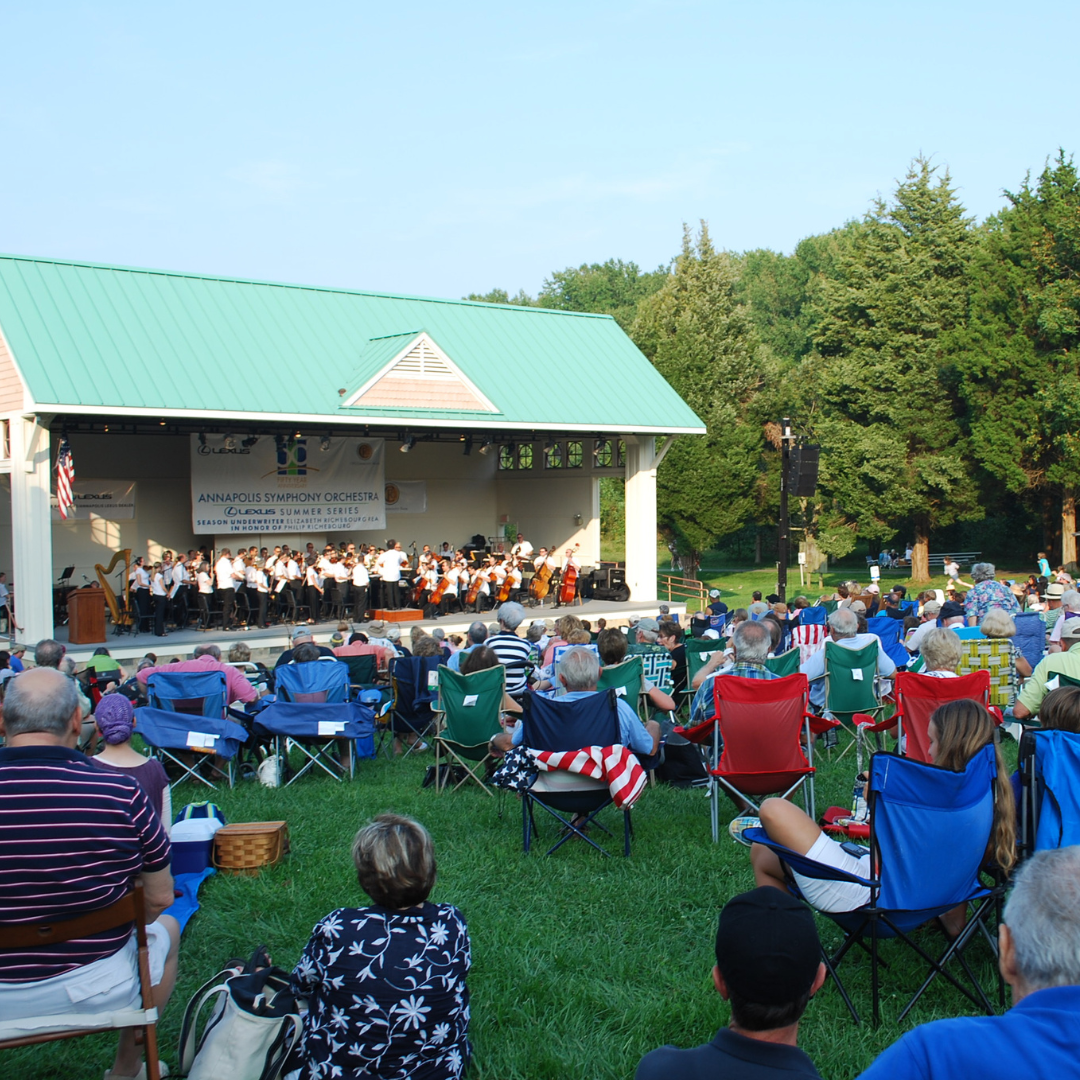 People sitting on the lawn watching a concert