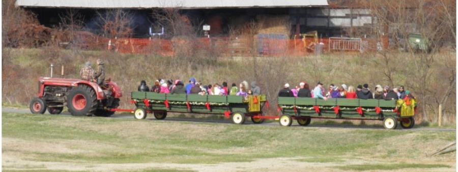 Kinder Farm Park Hayrides