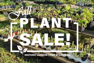 Fall Plant Sale