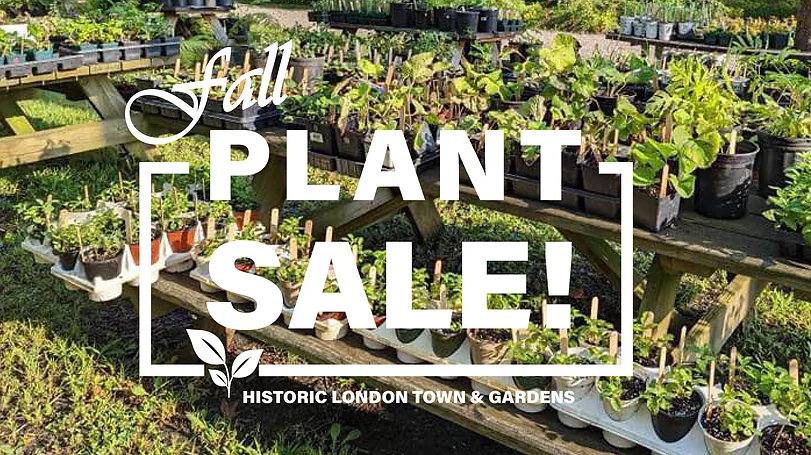 Fall Plant Sale