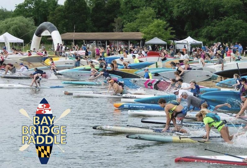 People launching paddle boats from beach