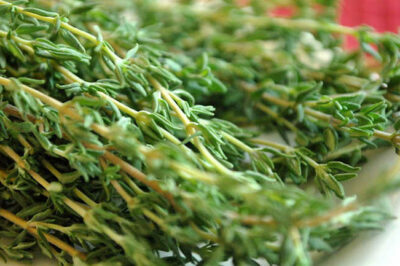 Harvest Thyme