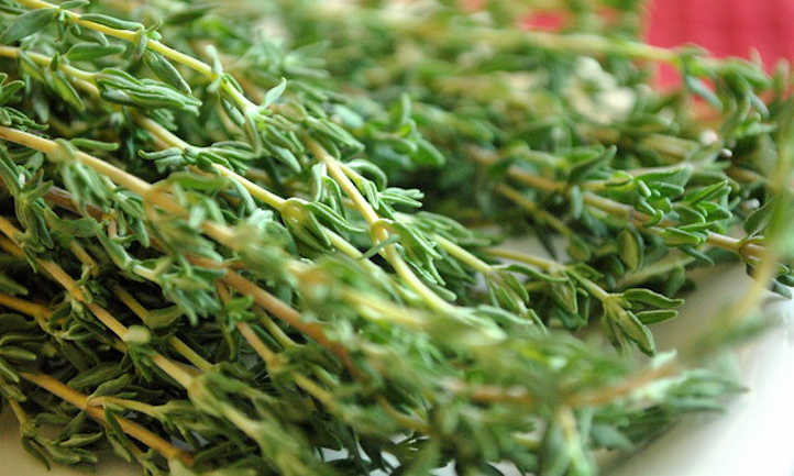 Harvest Thyme