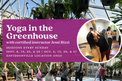 Yoga in the Greenhouse