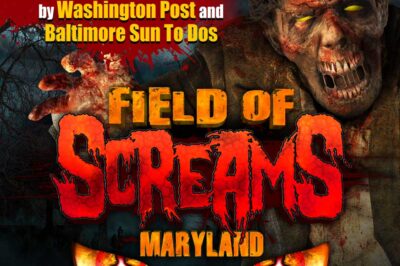 Field of Screams