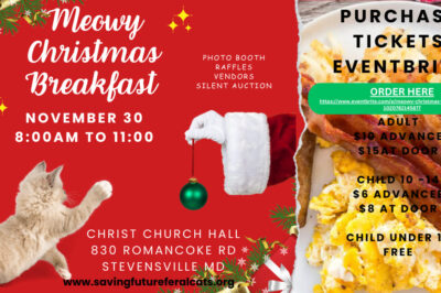 Meowy Christmas Breakfast & Vendor Fair