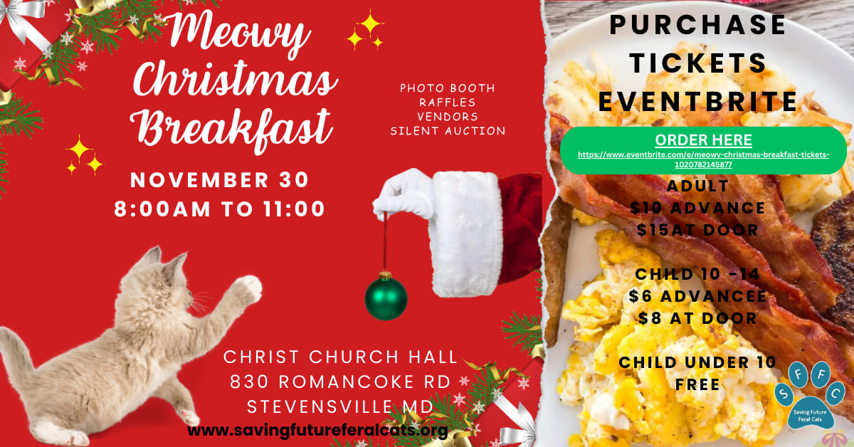 Meowy Christmas Breakfast & Vendor Fair