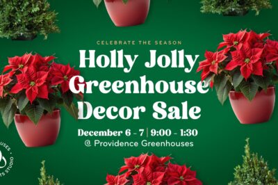 Holly Jolly Greenhouse Decor Sale