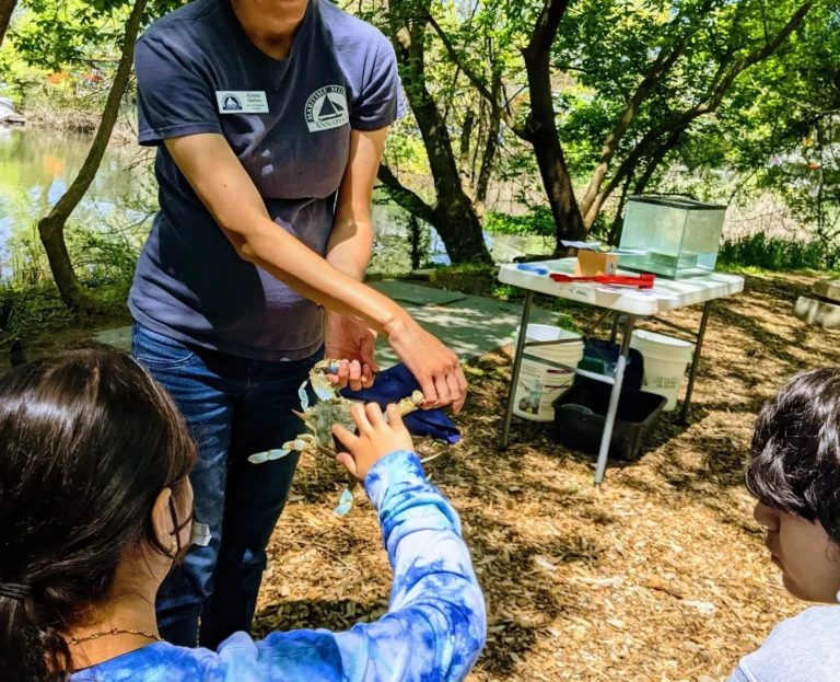 PXL 20220502 165048363.MP  scaled e1691340580791 768x623