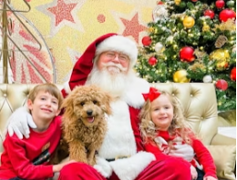 Pet Photos with Santa