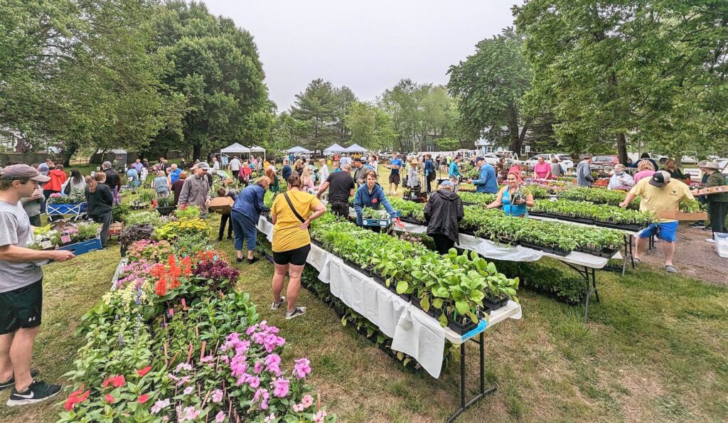 Cape St. Claire Garden Club Plant Sale