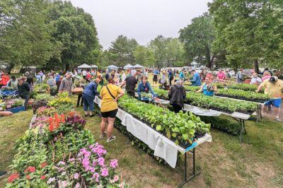 Cape St. Claire Garden Club Plant Sale