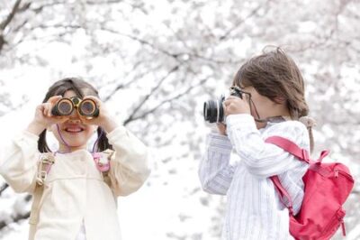 Birding Bonanza