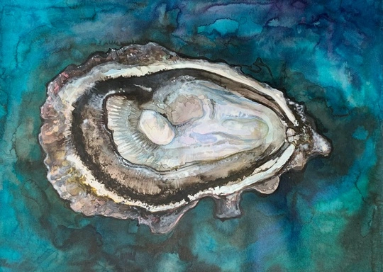 oyster watercolor painting