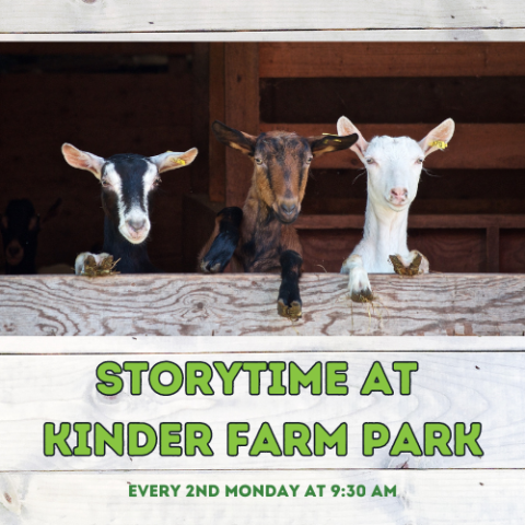 Storytime at Kinder Farm Park