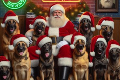 Christmas with K9s