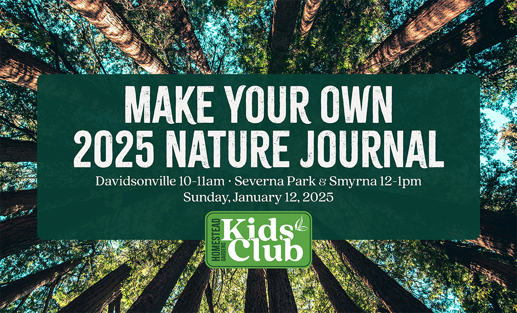 Create Your Own Nature Journal