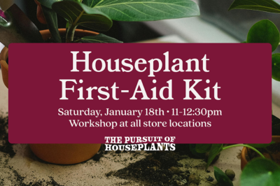 Houseplant First-Aid Kit