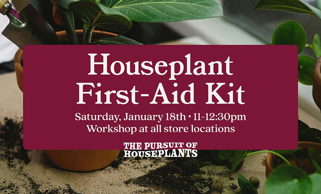 Houseplant First-Aid Kit